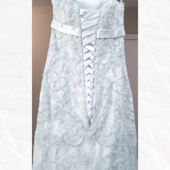 Sottero & Midgley Wedding Gown - Picture 2 of 12